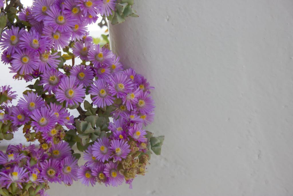 Ξενοδοχείο Sourmeli Garden *