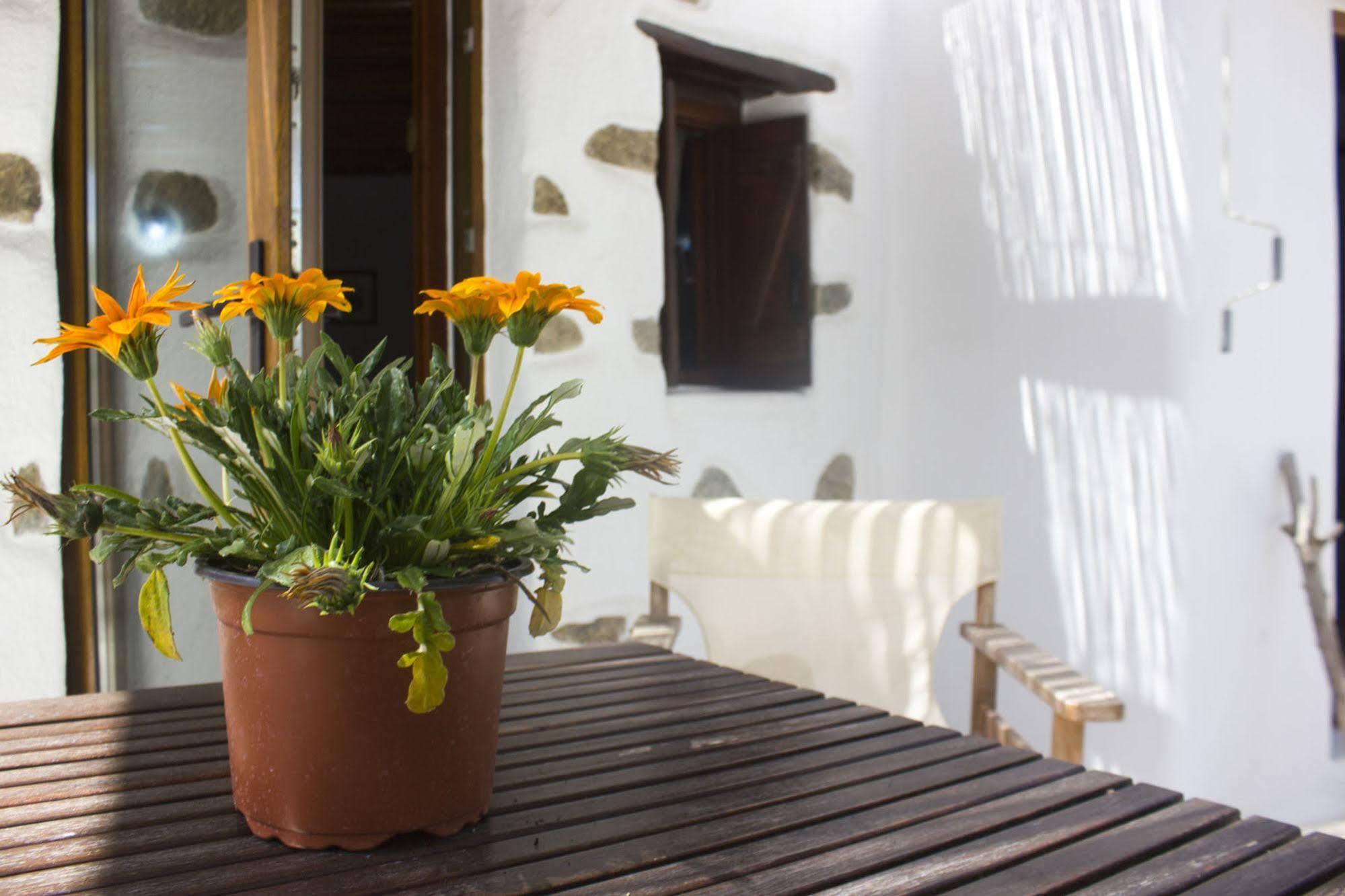 Sourmeli Garden Ξενοδοχείο Mykonos Town